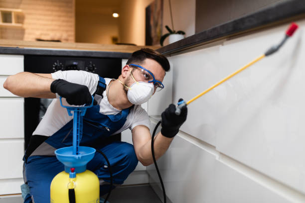 Best Best Pest Control Companies  in Placitas, NM