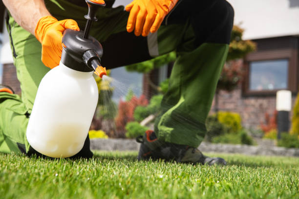 Best Best Pest Control Companies  in Placitas, NM