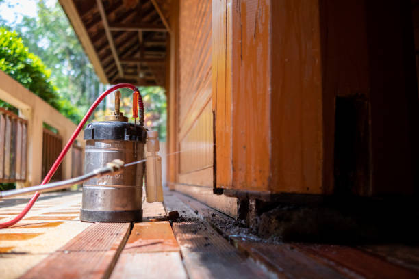 Best Exterminator Services  in Placitas, NM