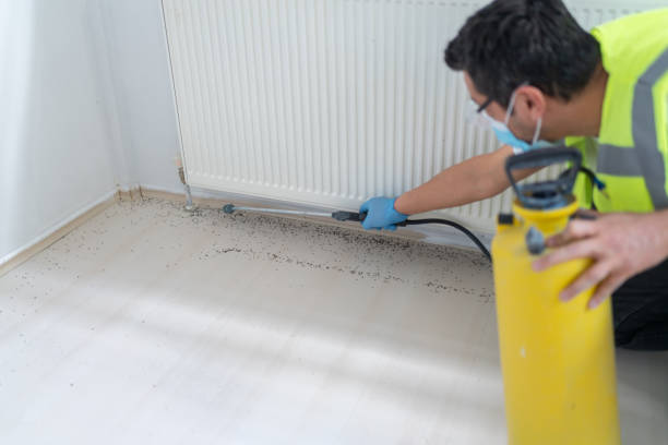 Best Commercial Pest Control Services  in Placitas, NM